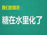 小学科学苏教版一年级下册 6盐和糖哪儿去了 课件