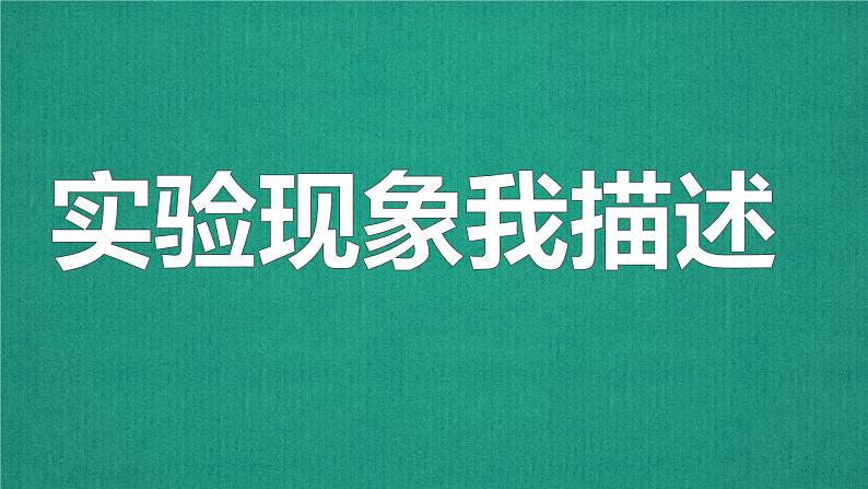 小学科学苏教版一年级下册 6盐和糖哪儿去了 课件第6页