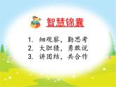 小學(xué)科學(xué)教科版一年級(jí)下冊(cè) 5觀察魚 課件