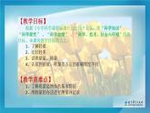 小學(xué)科學(xué)教科版一年級(jí)下冊(cè) 2誰(shuí)輕誰(shuí)重 3 課件