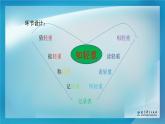 小学科学教科版一年级下册 2谁轻谁重 3 课件