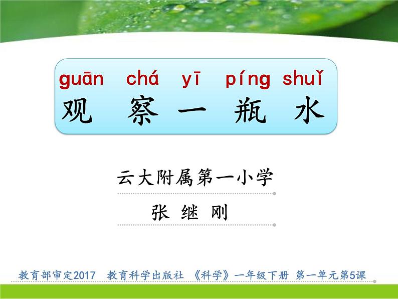 小学科学教科版一年级下册 5观察一瓶水 3 课件第1页