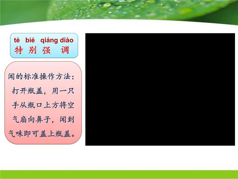 小学科学教科版一年级下册 5观察一瓶水 3 课件第7页