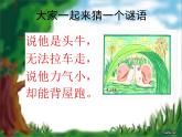 小学科学教科版一年级下册 3观察一种动物 1 课件