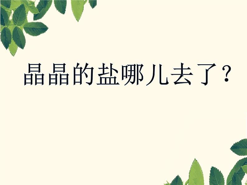 小学科学苏教版一年级下册 6盐和糖哪儿去了 3 课件第2页