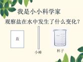 小学科学苏教版一年级下册 6盐和糖哪儿去了 3 课件