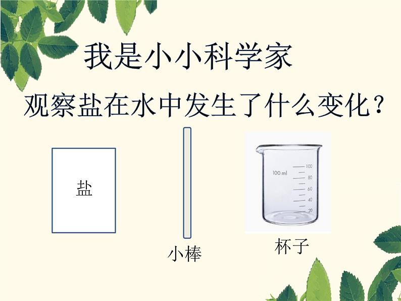 小学科学苏教版一年级下册 6盐和糖哪儿去了 3 课件第3页