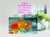 小学科学教科版一年级下册 5观察鱼 1 课件