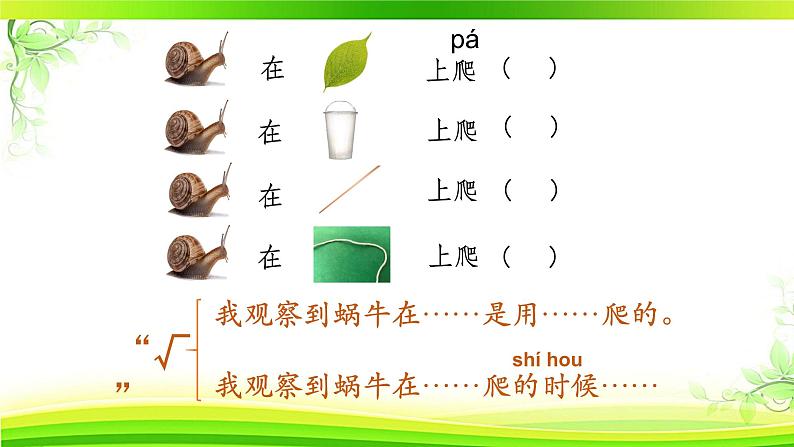 小学科学教科版一年级下册 3观察一种动物 课件03