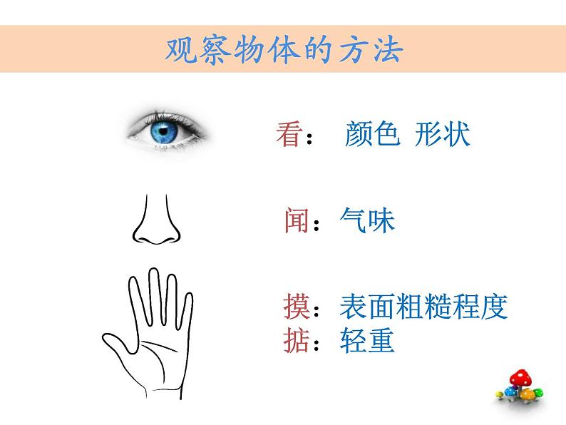 小学科学教科版一年级下册 1发现物体的特征 课件第3页