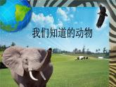 小学科学教科版一年级下册 1我们知道的动物 4 课件