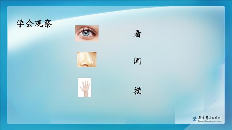 小学科学教科版一年级下册 1发现物体的特征 1 课件03