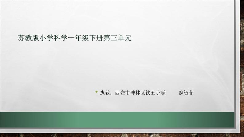 小学科学苏教版一年级下册 7找空气 课件第1页