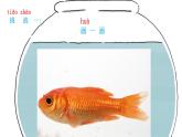 小学科学教科版一年级下册 5观察鱼 2 课件