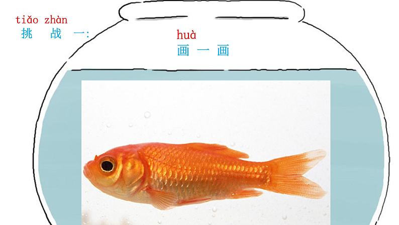 小学科学教科版一年级下册 5观察鱼 2 课件第3页