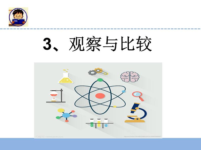 小学科学教科版二年级下册 3观察与比较 2 课件第1页