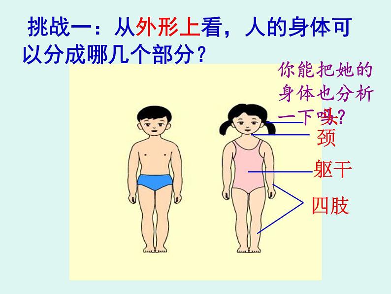 小学科学教科版二年级下册 1观察我们的身体 2 课件第2页