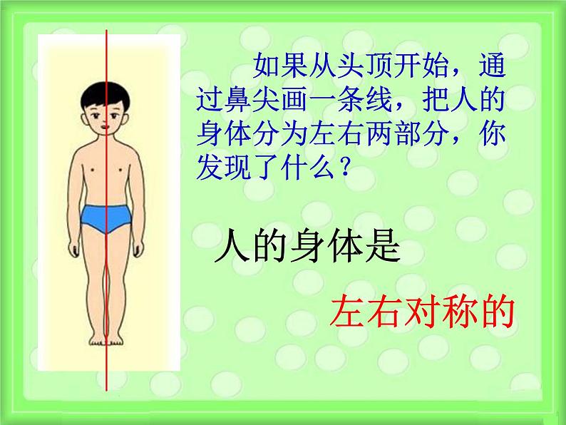 小学科学教科版二年级下册 1观察我们的身体 2 课件第5页