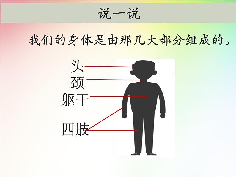 小学科学教科版二年级下册 1观察我们的身体 1 课件第7页