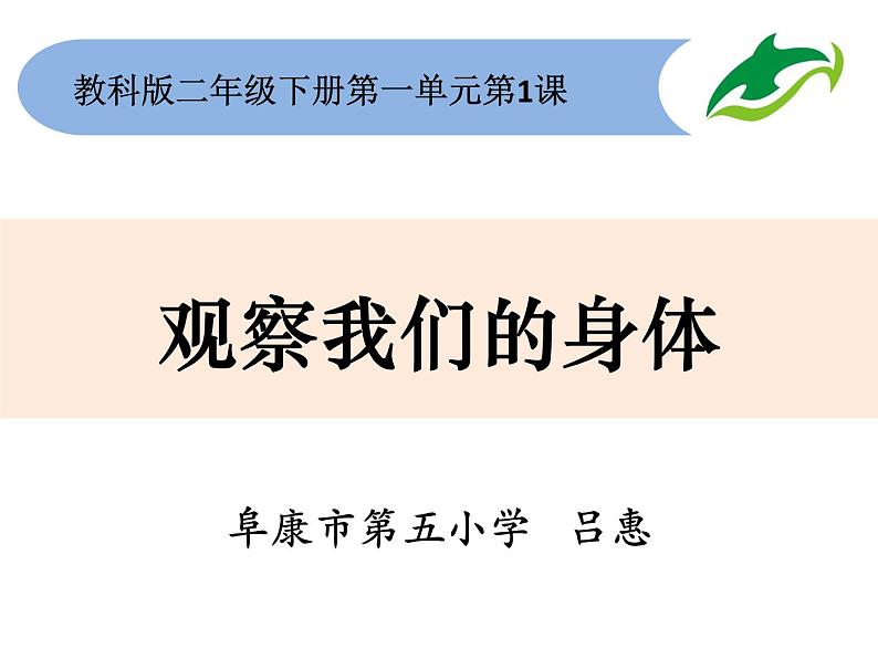 小学科学教科版二年级下册 1观察我们的身体 2 课件第1页