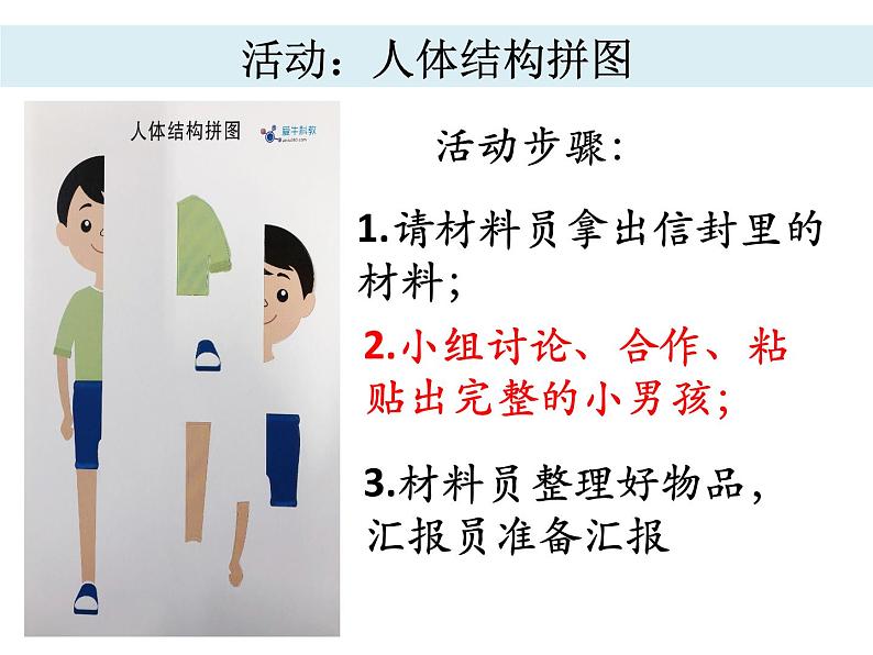 小学科学教科版二年级下册 1观察我们的身体 2 课件第7页