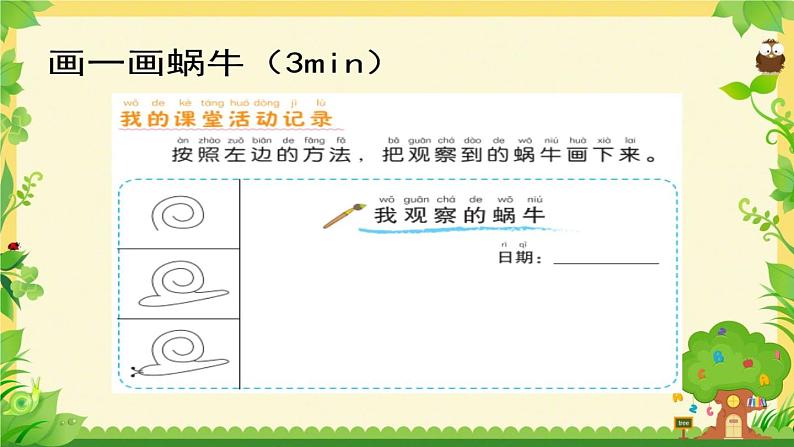 小学科学教科版一年级下册 3观察一种动物 1 课件08