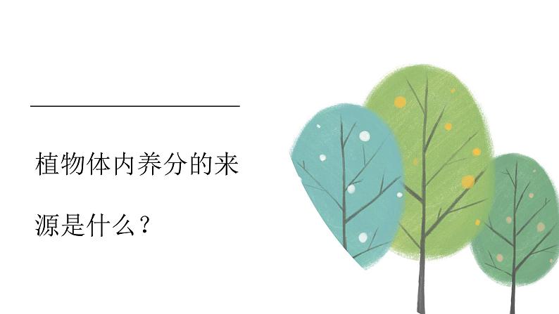 冀人版六上第4单元第12课-植物的养分 视频资料+视频引导PPT02