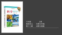冀人版 (2017)六年级上册13 动物与能量课文配套课件ppt