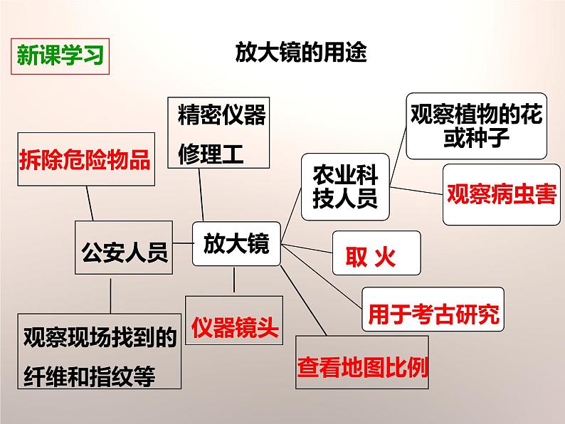 科教版科学六年级上册 1放大镜课件PPT06