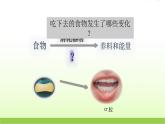 教科版小学科学四年级上册第7课时食物在口腔里的变化课件