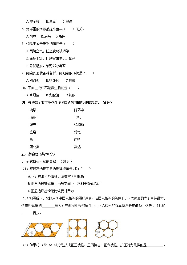 苏教版五年级下册科学期中测试卷1（含答案）第2页