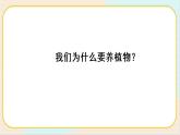 人教鄂教版二上科学 1.3《我们离不开植物》课件+教案