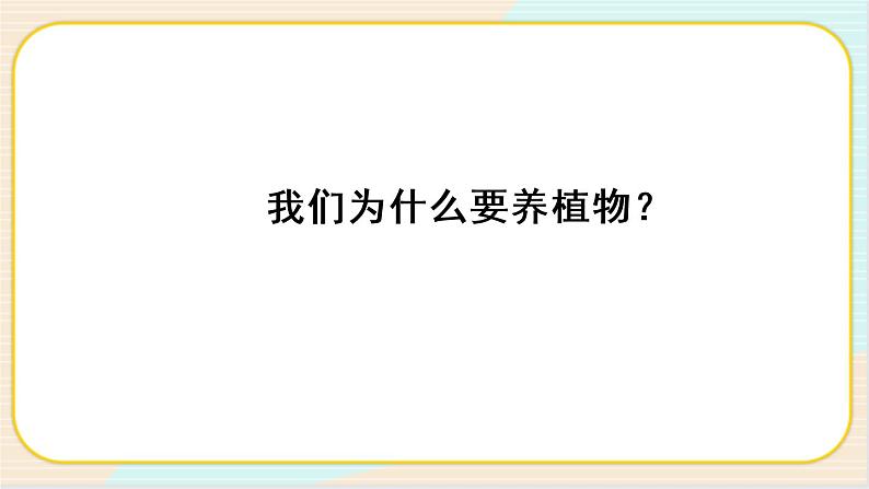 人教鄂教版二上科学 1.3《我们离不开植物》课件+教案03