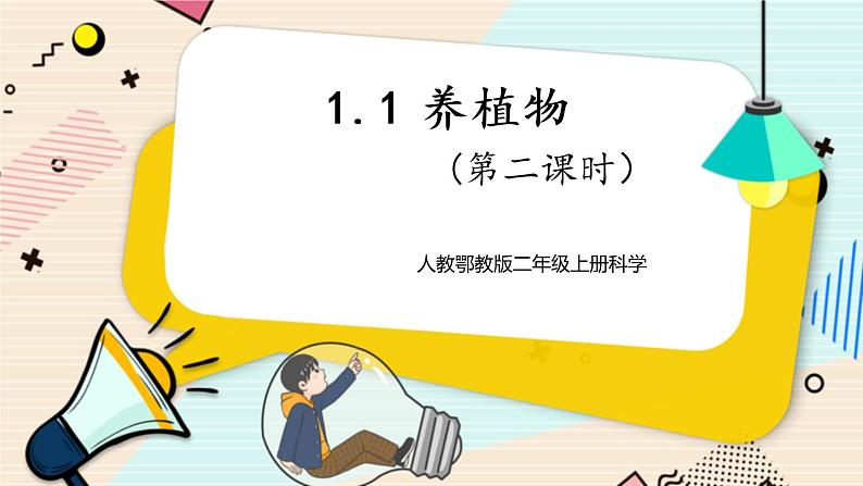 人教鄂教版二上科学 1.1《养植物》 第二课时课件+教案+内嵌式视频01