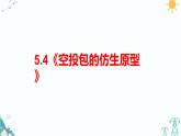 大象版五年级下册科学 5.3《空投包的仿生原型》（课件PPT+练习）