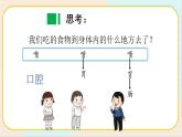 人教鄂教版三上科学1.3《食物的消化》 授课课件+内嵌式音视频资料