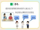 人教鄂教版三上科学1.3《食物的消化》 授课课件+内嵌式音视频资料