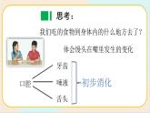 人教鄂教版三上科学1.3《食物的消化》 授课课件+内嵌式音视频资料