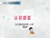 小學(xué)科學(xué) 蘇教2017課標(biāo)版 一年級上冊 4 認(rèn)識(shí)感官  課件