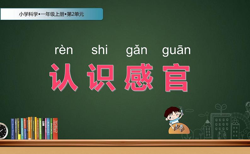 小学科学 苏教2017课标版 一年级上册 4 认识感官 课件第3页