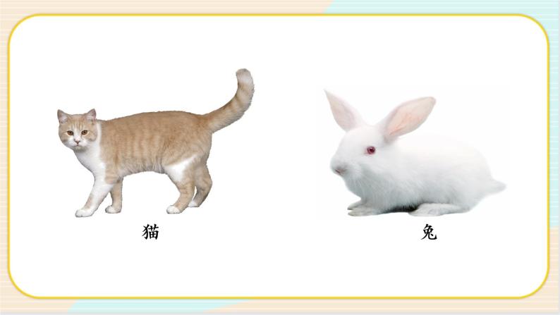 人教鄂教版一上科学2.5《猫和兔》授课课件+内嵌式音视频资料03