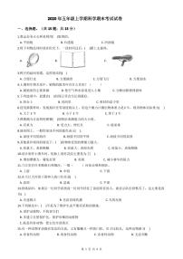 2020年五年级上学期科学期末考试试卷