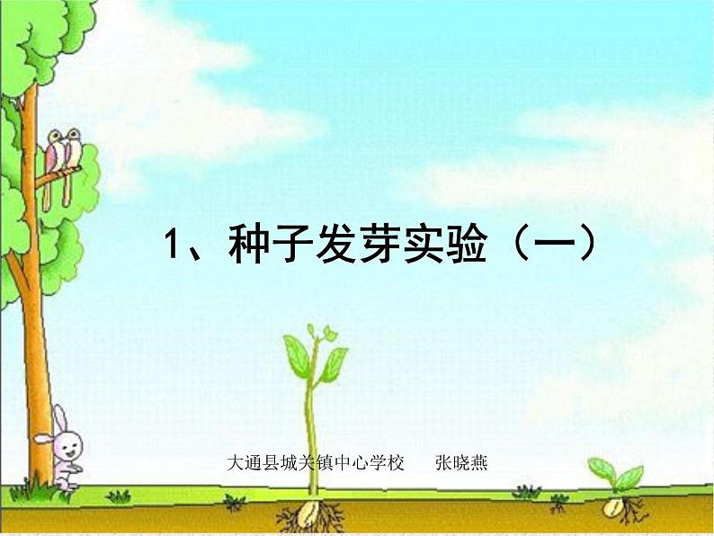 小学科学 教科版 五年级上册 种子发芽实验部优课件01