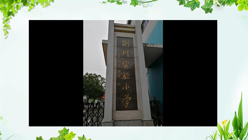 小学科学 教科版 一年级上册 观察叶部优课件01