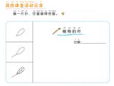 小学科学 教科版 一年级上册 《观察叶》部优课件