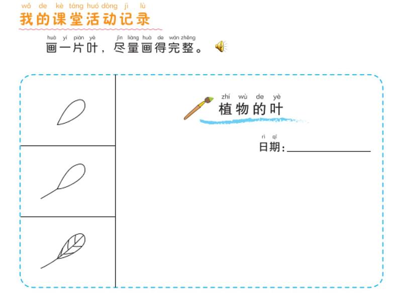 小学科学 教科版 一年级上册 《观察叶》部优课件04