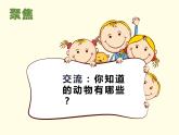 小學科學 教科版 一年級下冊 給動物分類 部優(yōu)課件