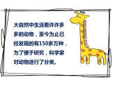 小學科學 教科版 一年級下冊 給動物分類 部優(yōu)課件
