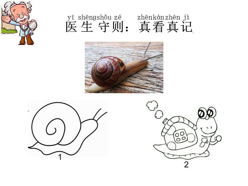 小学科学 教科版 一年级下册 科学阅读  观察鱼部优课件03