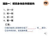 小学科学 教科版 二年级下册 观察我们的身体部优课件